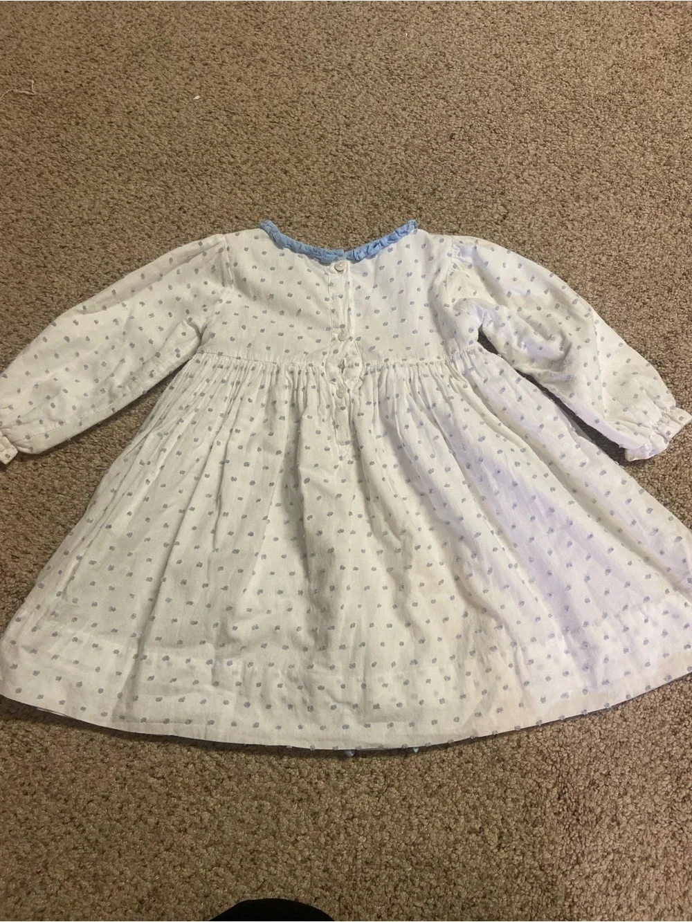 Eliza James Thanksgiving dress embroidered turkey swiss dots 3T girls Toddler